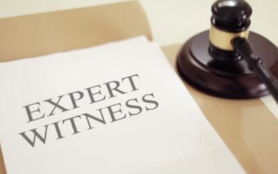ASSESSING A WITNESS