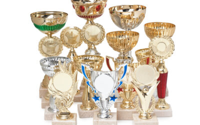 WHAT KIND OF AWARD?