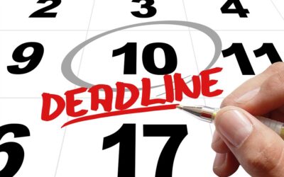 LATE APPLICATION TO SUBMIT NEW EVIDENCE – EPISODE 2