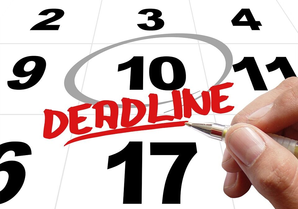 LATE APPLICATION TO SUBMIT NEW EVIDENCE – EPISODE 2