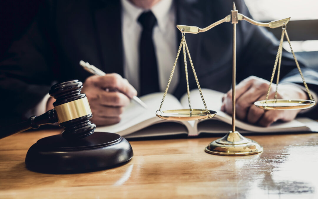 THE OVER-ACTIVE PLAINTIFF’S LAWYER – EPISODE 5
