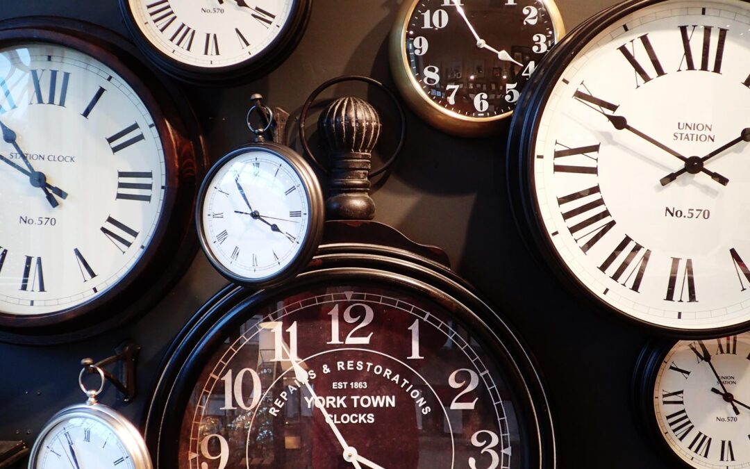 LATE APPLICATION TO SUBMIT NEW EVIDENCE – EPISODE 5 – FINAL EPISODE