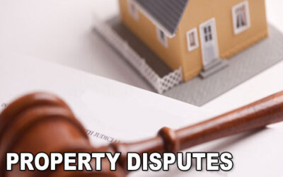 THE FAMILY PROPERTY  DISPUTE