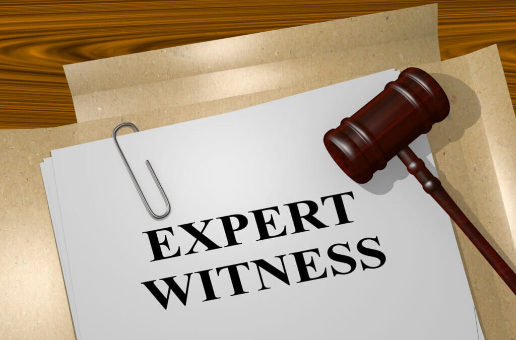 THE EXPERT WITNESS