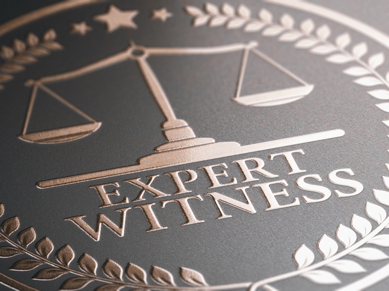 THE EXPERT WITNESS EPISODE 3