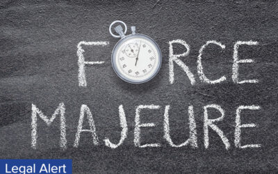 NEW WORLD – NEW WORDS – EPISODE 4