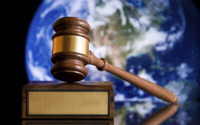 NEW WORLD – NEW WORDS – EPISODE 2