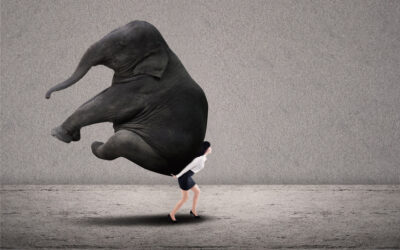 AN ANXIOUS NEW ARBITRATOR – EPISODE 3